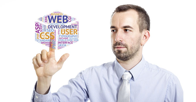 Directeur Technique Web ou CTO